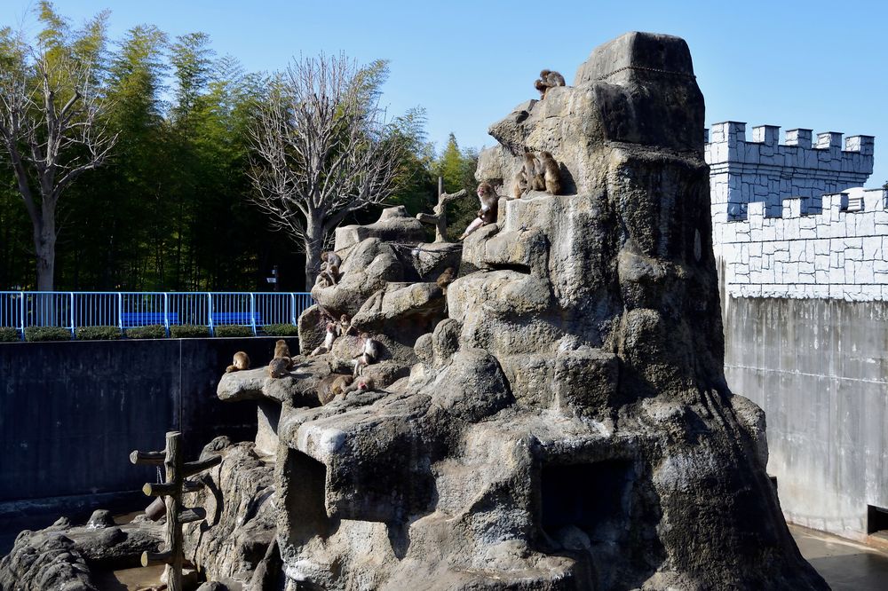 市川市動植物園の画像 - 2枚目