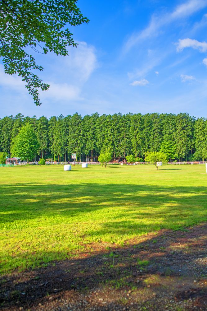 那須 千本松牧場の画像 - 2枚目