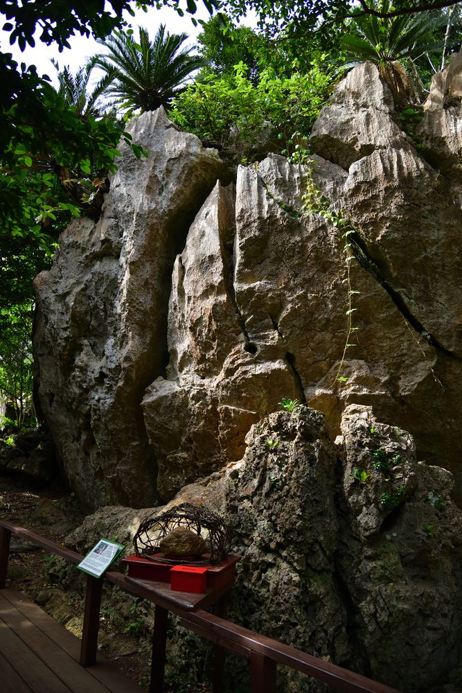 ゴーヤーマン　ハンディ扇風機　ストラップ付き 沖縄 大石林山　アスムイハイクス アスムイハイクス(大石林山)】の周辺スポット・アクセス・口コミ