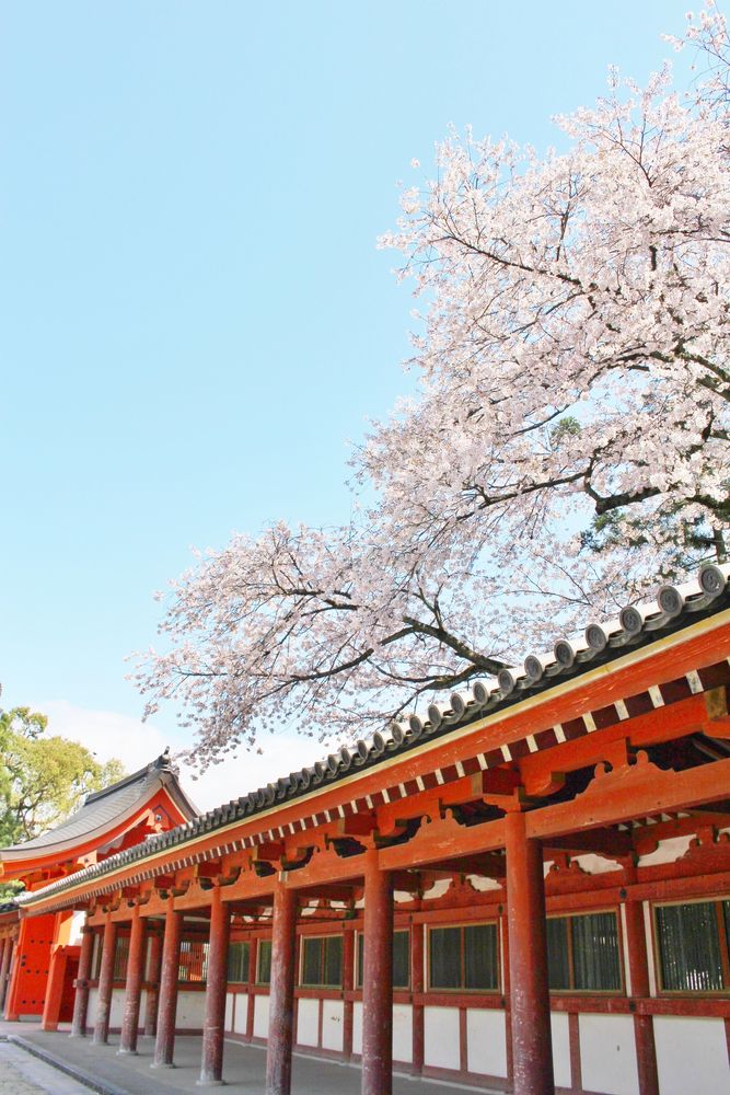 石清水八幡宮の画像 - 5枚目