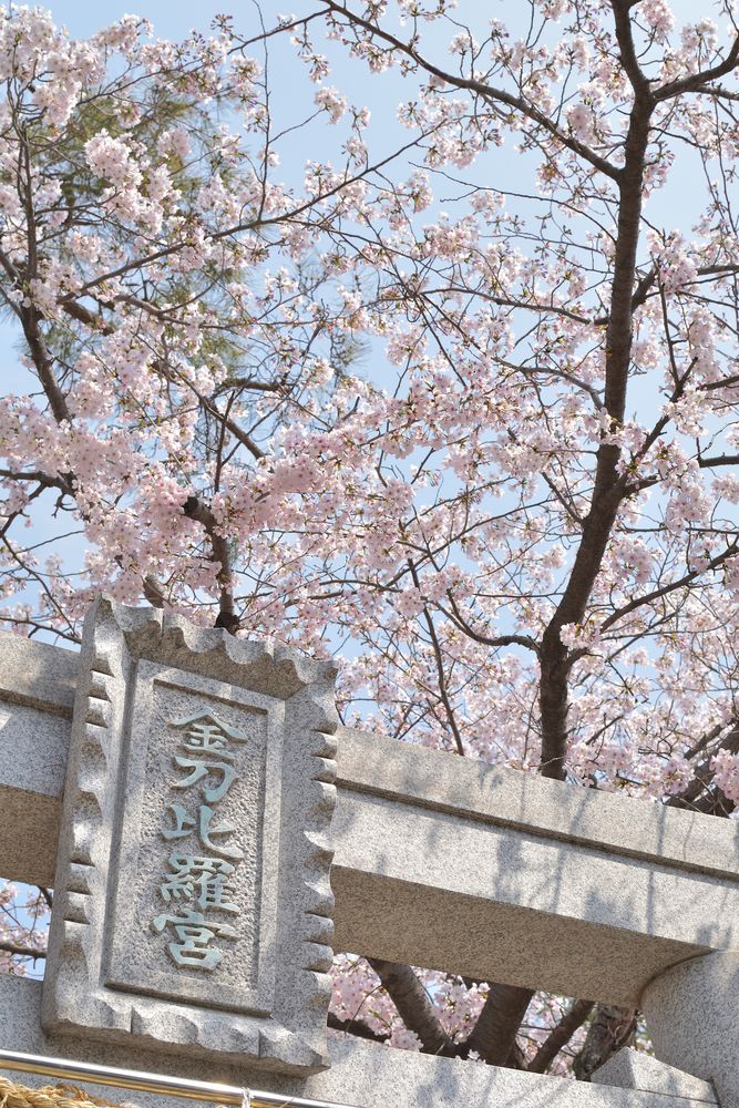 金刀比羅宮の画像 - 5枚目