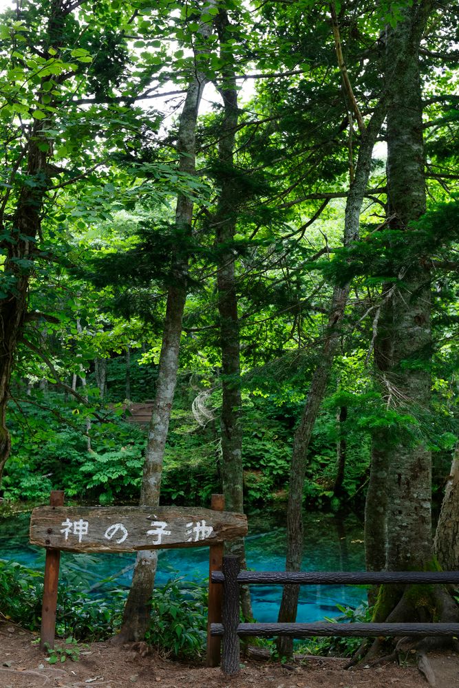 神の子池の画像 - 5枚目