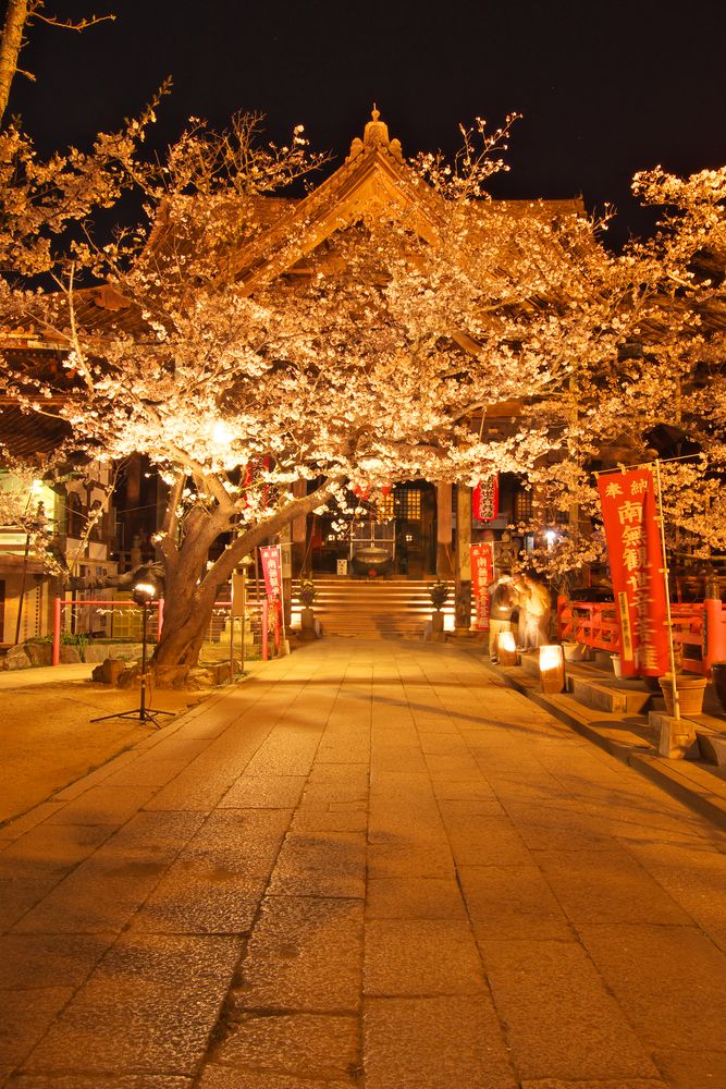 紀三井寺の画像 - 4枚目