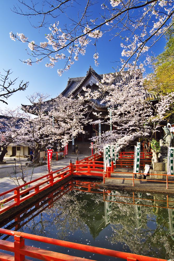 紀三井寺の画像 - 5枚目