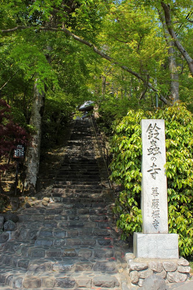 鈴虫寺の画像 - 2枚目