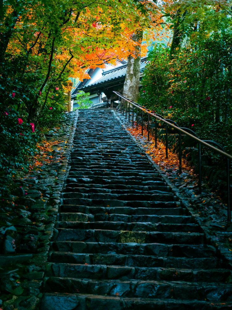 鈴虫寺の画像 - 5枚目