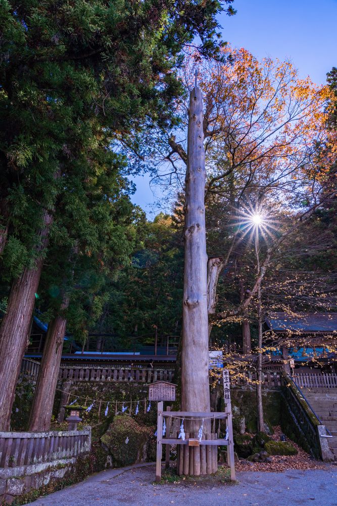 諏訪大社上社本宮の画像 - 2枚目