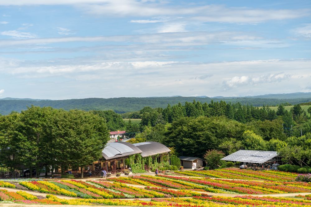那須フラワーワールドの画像 - 2枚目